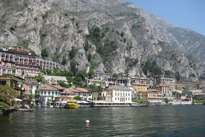 Limone Zitronengewächshäuser