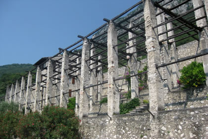 Gargnano le limonaie